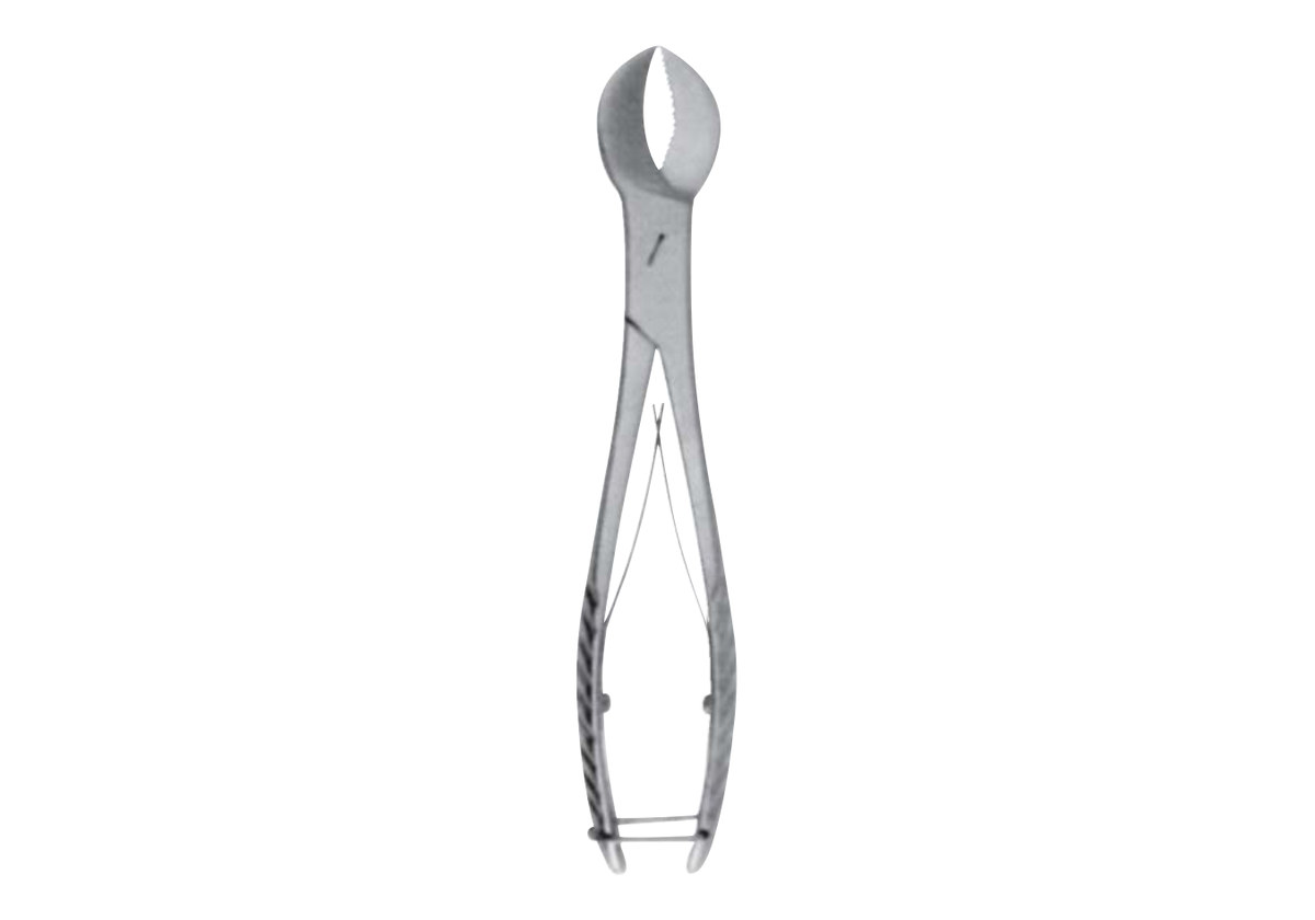 plaster shears