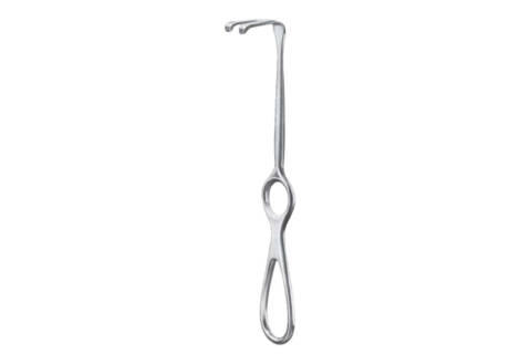 ramus retractor