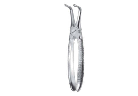 resection forceps for roots