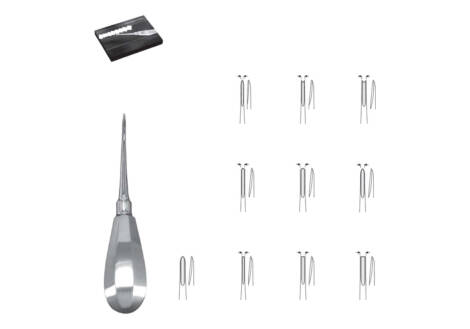 Root Elevator Set, 10 Pieces with sterilization cassette