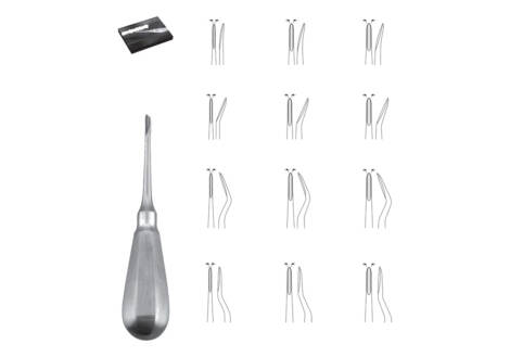 Root Elevator Set, 12 Pieces with sterilization cassette