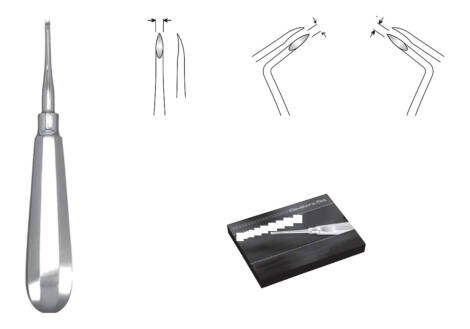 Root Tip Pick Set, 3 Pieces with sterilization cassette