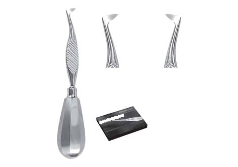 Schlemmer Root Elevator Set, 2 Pieces with sterilization cassette