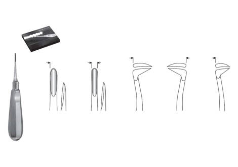 Seldin Root Elevator Set, 6 Pieces with sterilization cassette