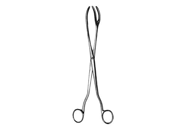sterilizing forceps