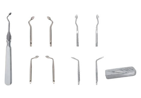 Syndesmotome Root Elevator Set, 8 Pieces with sterilization cassette