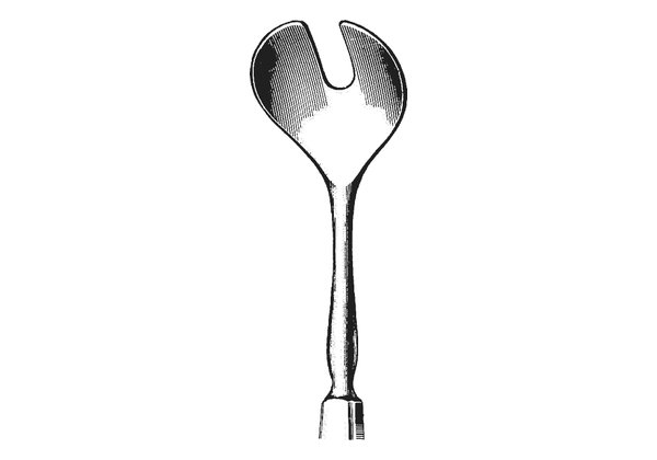 wells spoon