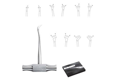 Winter Root Elevator Set, 10 Pieces with sterilization cassette