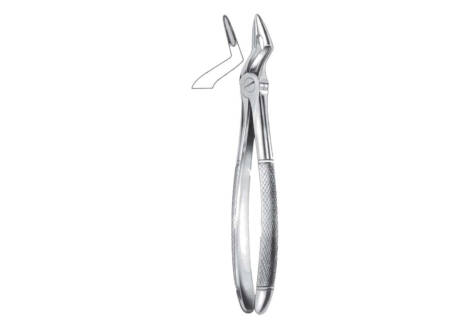 witzel root forceps
